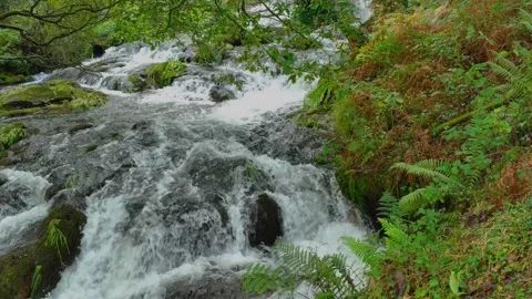 White Water Rushing Through Rocks On A Wilderness River. Slow Motion Stock Footage 256097073