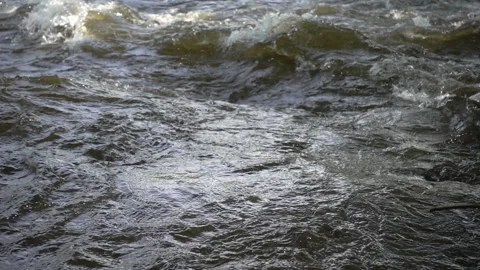 White water stream at the river riffle, close up, slow motion 240 fps Stock Footage 99503198