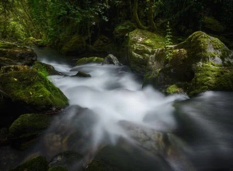 White Waters gnarled between Limestone Rocks Stock Photos