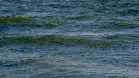 White wave Vídeos de archivo 91219707