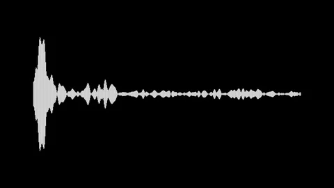 White waveform. Audio signal animation Stock Footage
