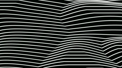 White waving lines Stock Footage 28768143