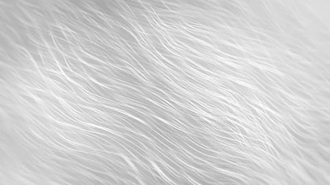 White Wavy Lines Stock Footage 153107712