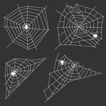 White web with a spider on a black background. A spider weaves a spider web. Stock Illustration