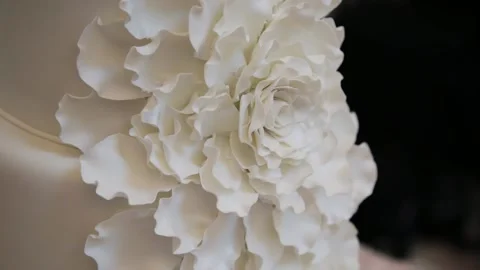 White wedding cake, big flower on the cake, wedding cake close-up Stock Footage 167112820