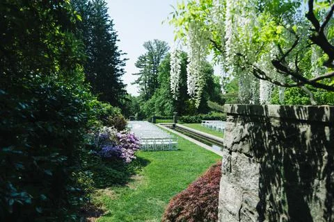White Wedding Chairs Lined Up before a Real Life Outdoor Summer Wedding Ceremony Stock Photos