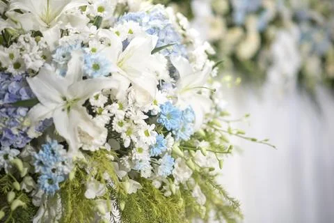 White wedding flower background Stock Photos