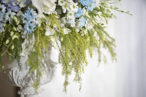 White wedding flower background Stock Photos