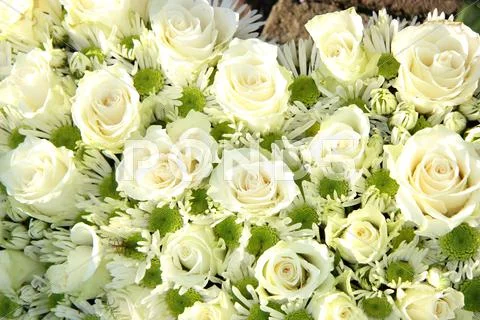 White wedding flowers Stock Photos
