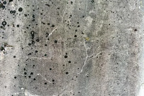 White wet wall texture old dirty scratched plaster as grunge background Stock Photos