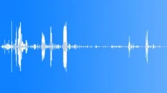 White Whale Echolocation Pulses Sound Effect