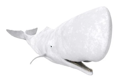 White whale Mocha Dick isolated on white background Stock Illustration