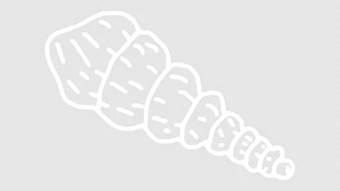 White wiggly hand drawn seashell icons on alpha 1 Stock Footage 306102265
