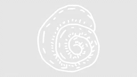 White wiggly hand drawn seashell icons on alpha 2 Stock Footage 306102266