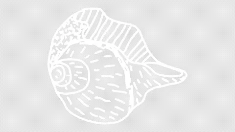 White wiggly hand drawn seashell icons on alpha 5 Stock Footage 306102301