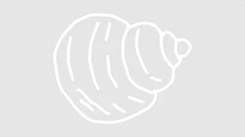 White wiggly hand drawn seashell icons on alpha 7 Stock Footage 306102392