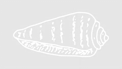 White wiggly hand drawn seashell icons on alpha 6 Stock Footage 306102400