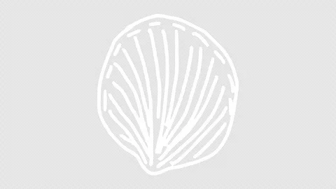 White wiggly hand drawn seashell icons on alpha 8 Stock Footage 306102401