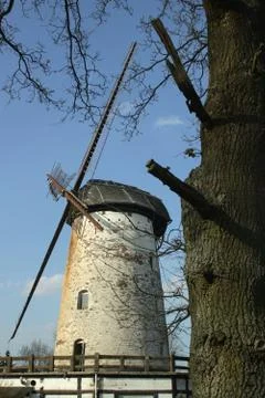White  windmill Stock Photos