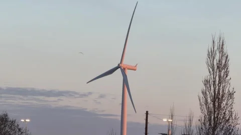 White windmill rotating near flying birds aerial Stock Footage 330948152