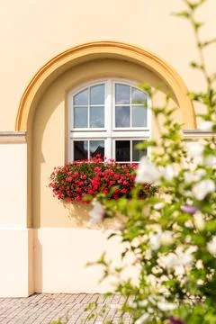 A white window decorated with red geranium flowers. Yellow pastel wall with.. Stock Photos