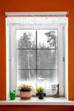 White window in orange room from which the view of the winter forest. Window  Stock Photos