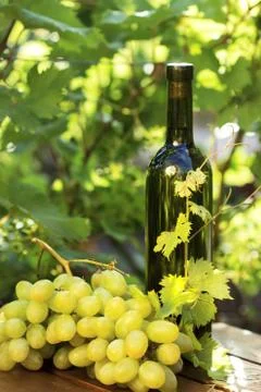 White wine bottle with grape Stock Photos