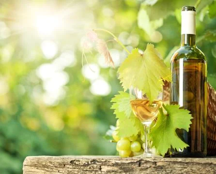 White wine bottle, vine, glass and bunch of grapes Stock-Fotos
