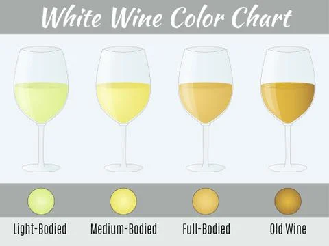 White wine color chart. Stock Illustration