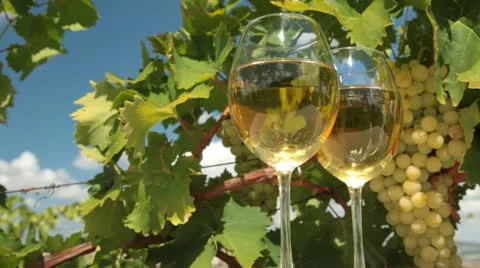 White Wine Stock Footage