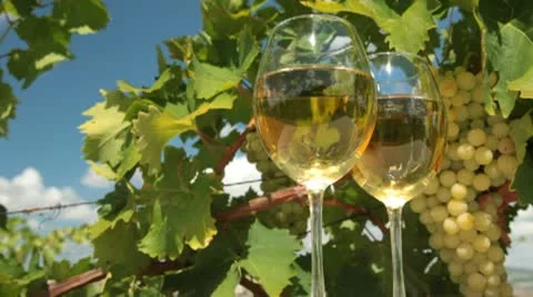 White Wine Stock Footage