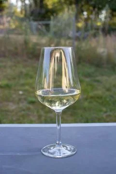 White wine glass on simple rustic dark table Stock Photos