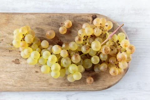 White wine grape Stock-Fotos