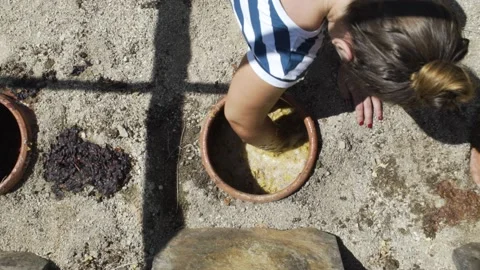 White wine making Stock Footage 144771506