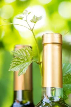 White wine Stock Photos