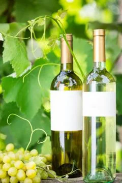White wine Stock Photos