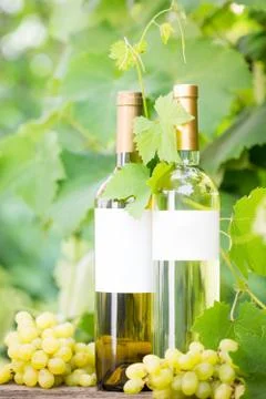 White wine Stock-Fotos