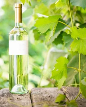 White wine Stock-Fotos
