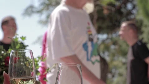 White wine toast Stock Footage 71585311