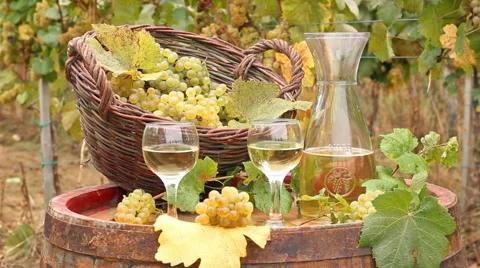 White wine in the vineyard Stock Footage 41592164