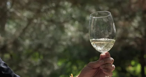 White wine wave inside transparent wineglass on nature background close up. Male Stock Footage 252560220
