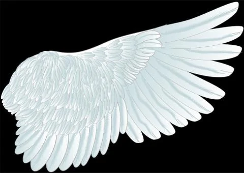 White wing Stock Illustration