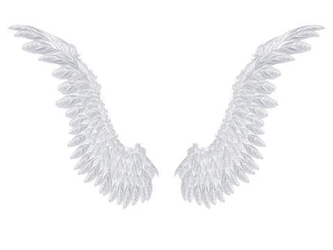 White Wings イラスト素材