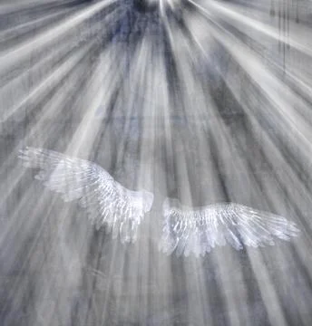 White wings in the light Illustration