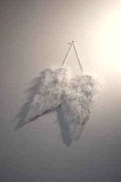 White wings Foto stock