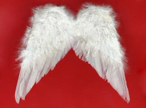 White wings Stock Photos