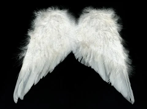 White wings Stock Photos