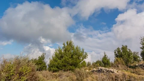 White winter clouds Stockbeeldmateriaal 163957988