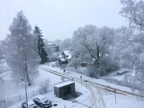 White winter fairy tale  landscape. Trees, houses and cars covered with snow. Stock Photos