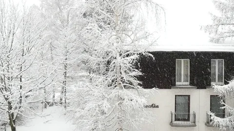 White winter Video stock 85144039